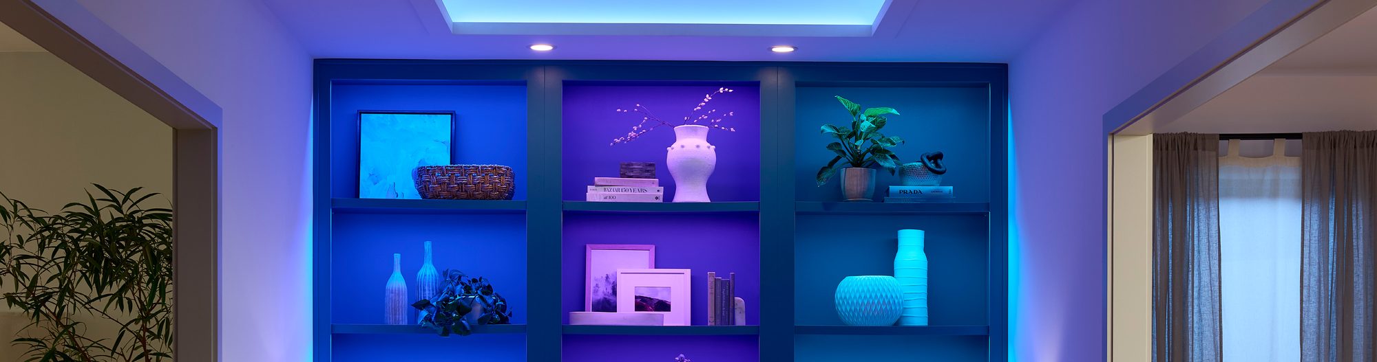 Shelves lit in blue and violet with Lutron Lumaris RGB tape light