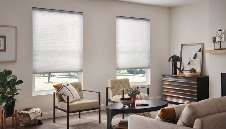 Living room with Lutron honeycomb shades